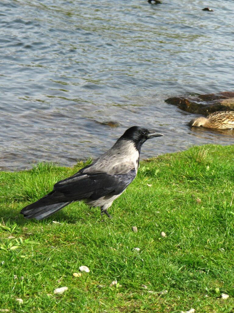 IMG_0073