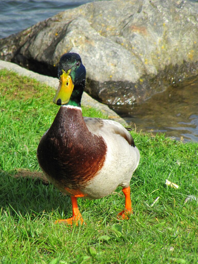 IMG_0076
