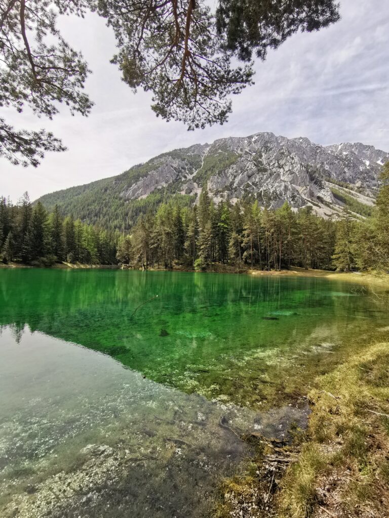Grüner See