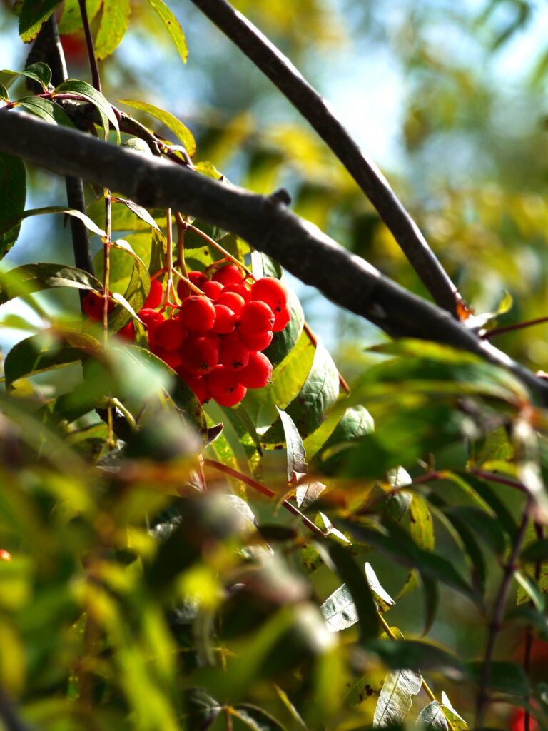 P1150129