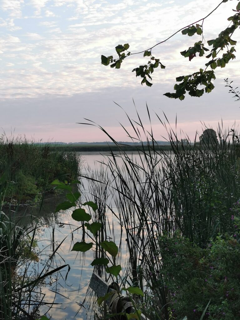 Kauerlacher Weiher