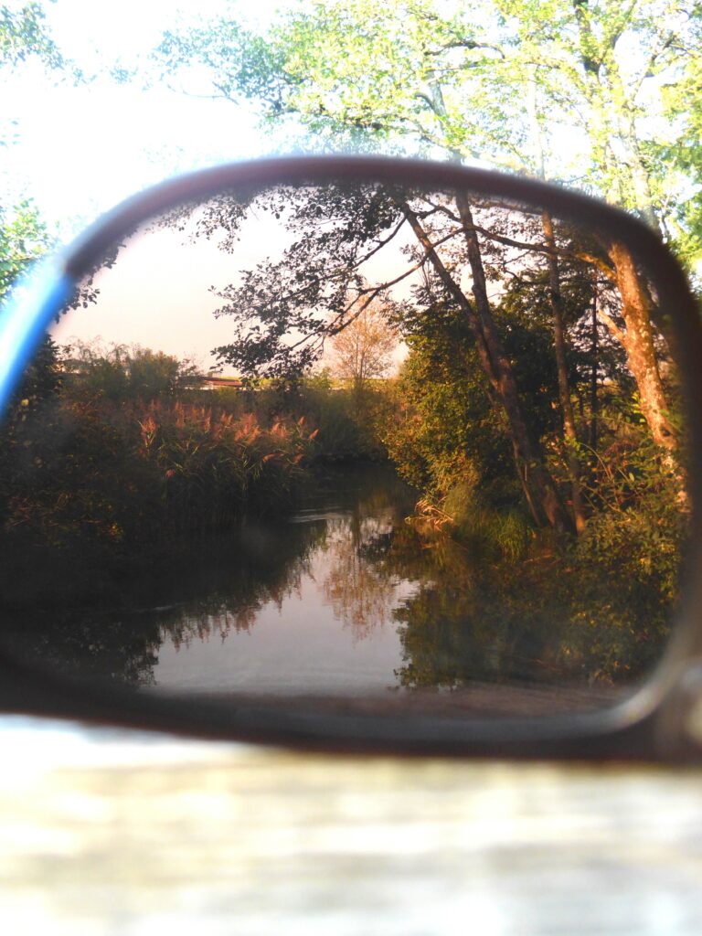 Grabensee Bach