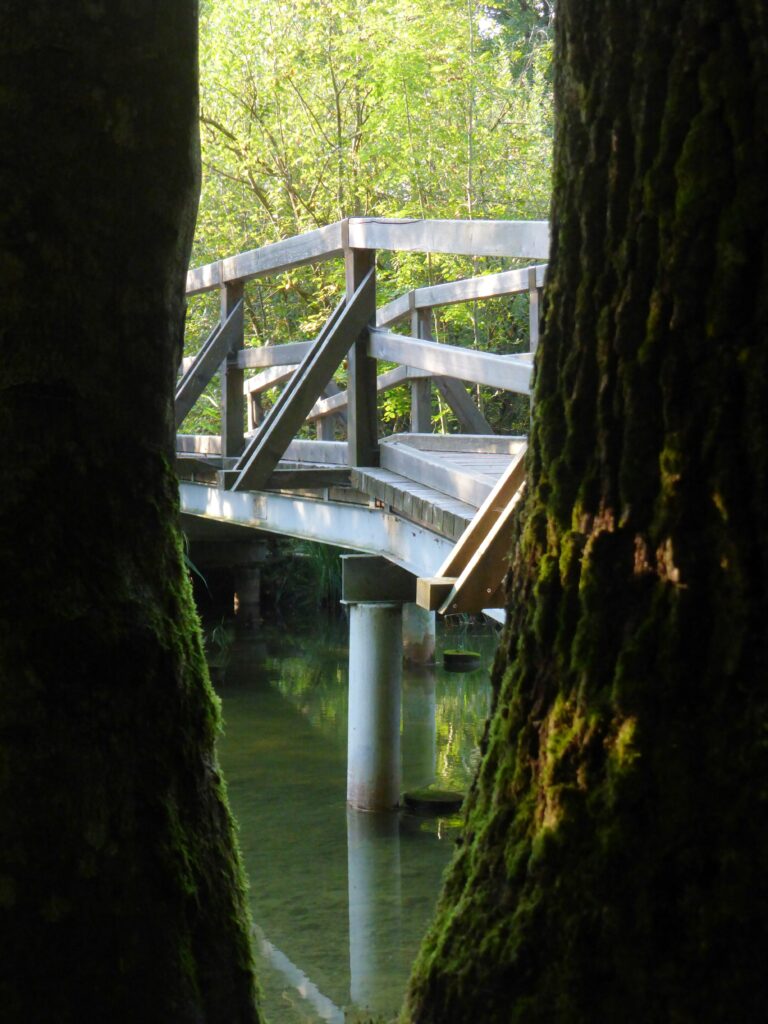 Grabensee Bachbrücke