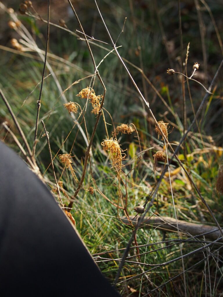 Feine Details I