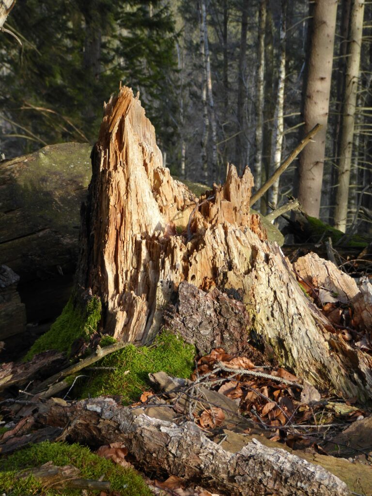 P1060061