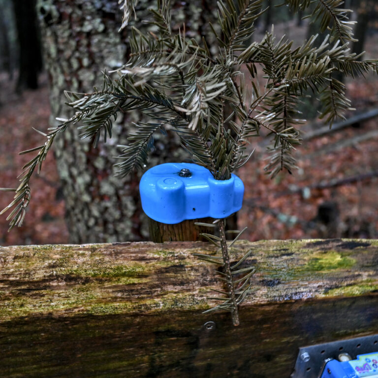 DSC_9009_01
